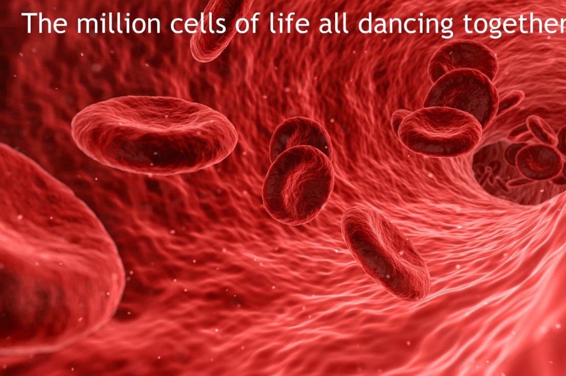 The Millions of Cells of Life Dancing Together