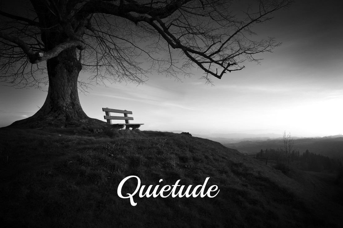 Quietude that Grounds the Soul